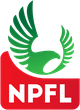 尼日超logo