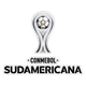 南美杯logo