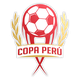 秘鲁杯logo