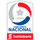 智利甲logo