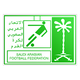 迪拜挑赛logo