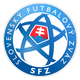 斯伐超杯logo